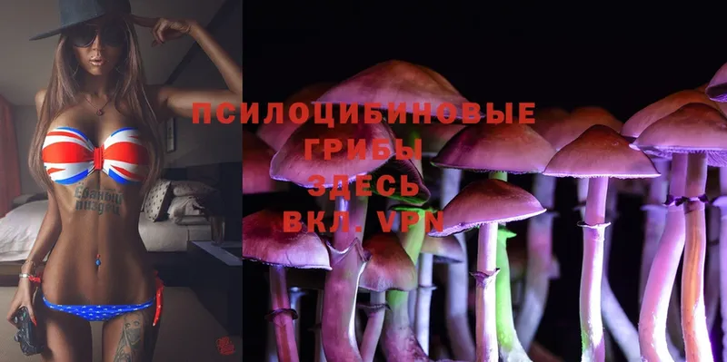 Псилоцибиновые грибы Magic Shrooms  Боготол 